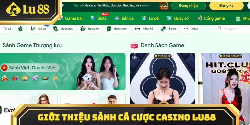 Giới thiệu khái quát chuyên mục cá cược casino Lu88 trực tuyến