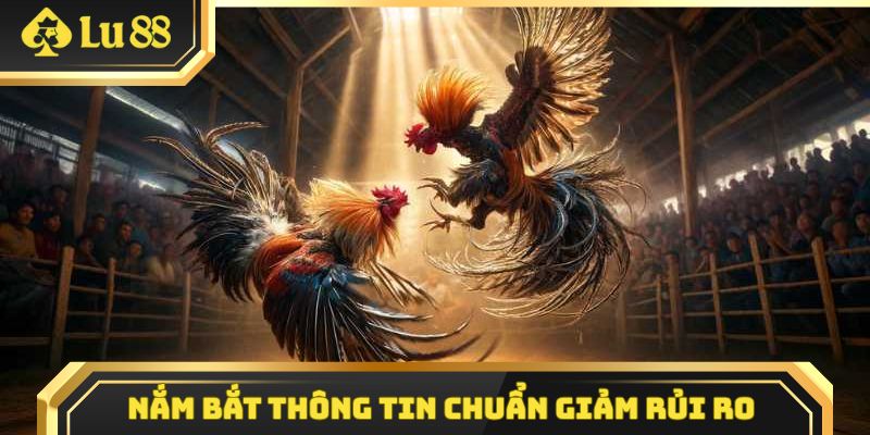 Nắm bắt thông tin chuẩn giảm rủi ro